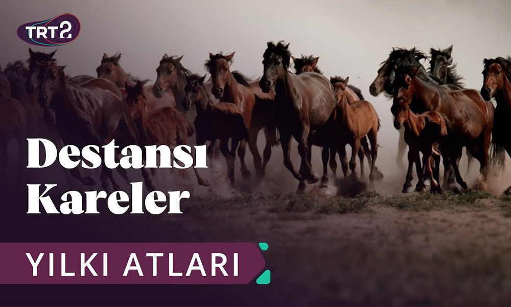 Rota Yapım