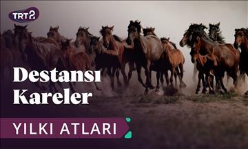 TRT 2 Destansı Kareler Görüntü Yönetmenliği 