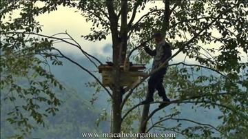 MACAHEL ORGANİC 1
