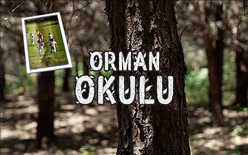 Orman Okulu - Diyanet TV - 14 Bölüm